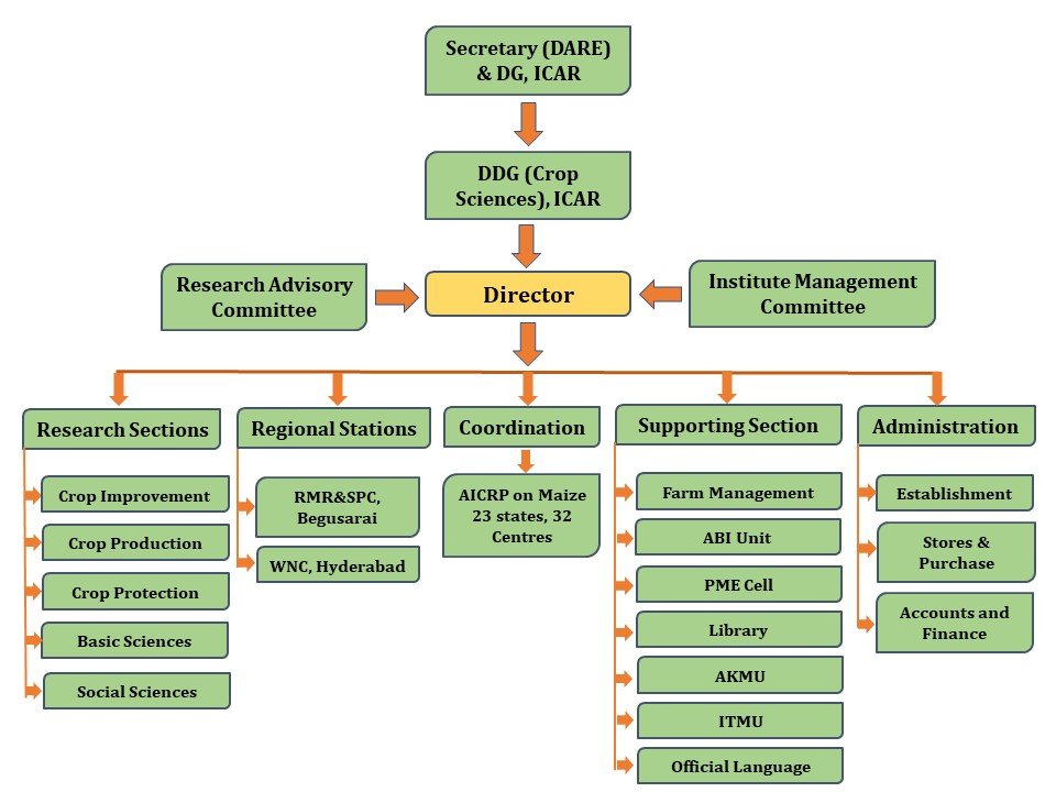 ICAR-IIMR organisational chart