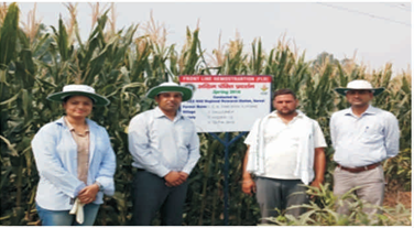 Front line demonstration results showing yield comparison across states