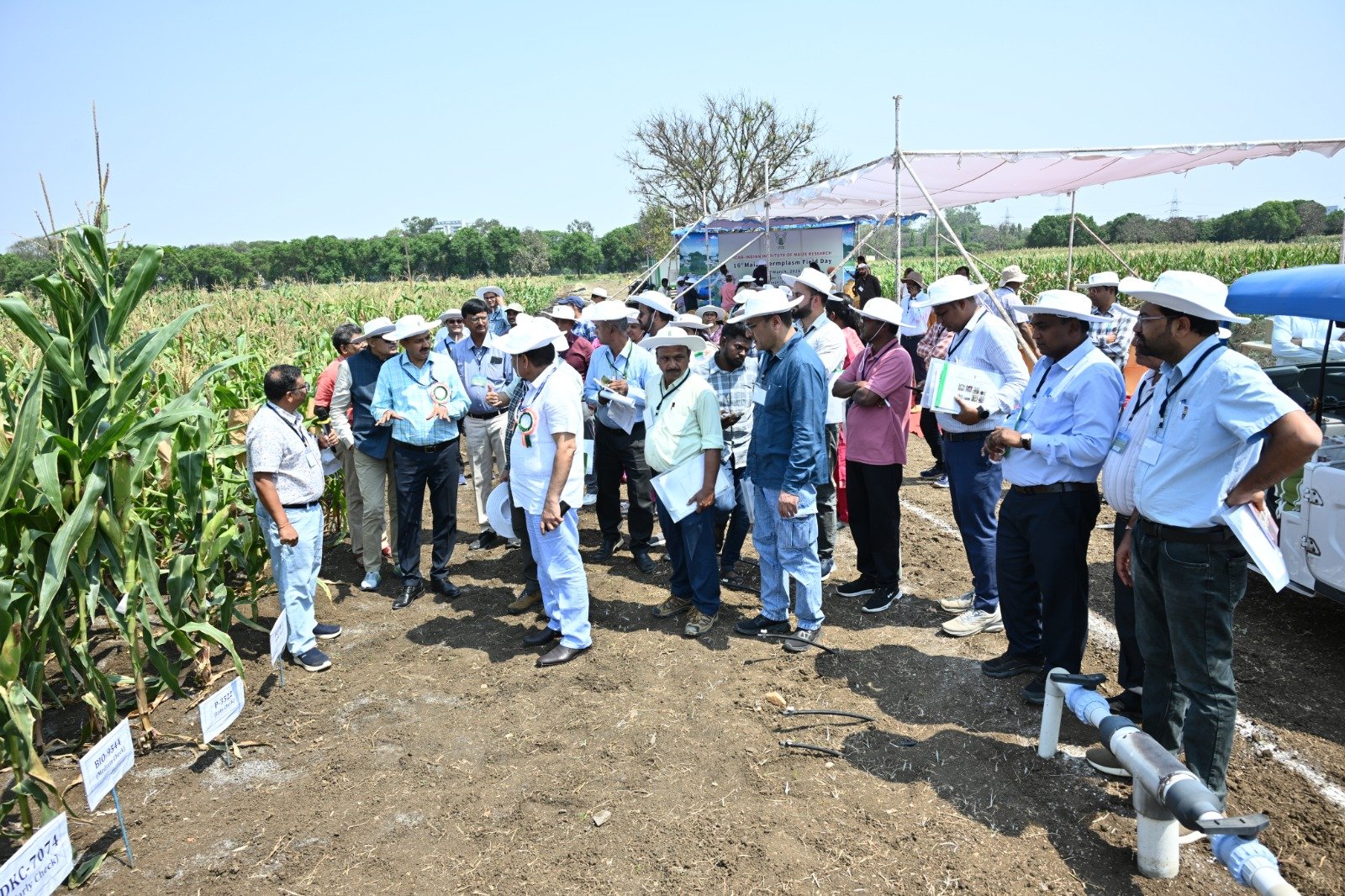 Maize Germplasm Field Day Held at Hyderabad